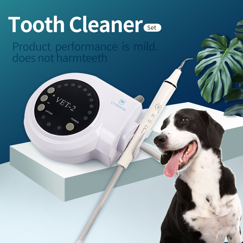 Teeth Whitening Tips - 애완동물 치과용 초음파 스케일러, 강아지 전문