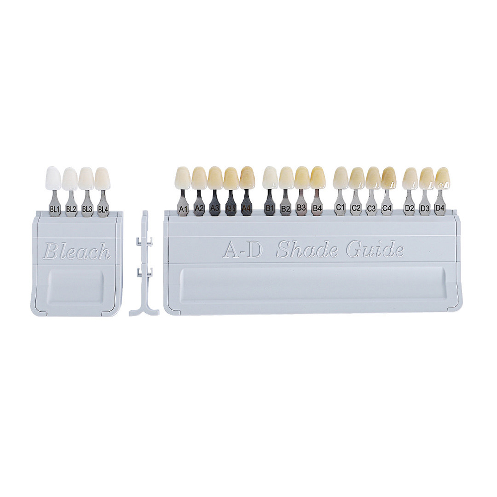 이보클라 치과 색상표 크라운 복원 표백 비교기 도자기  - Teeth Whitening With Trays 리뷰 및 가격