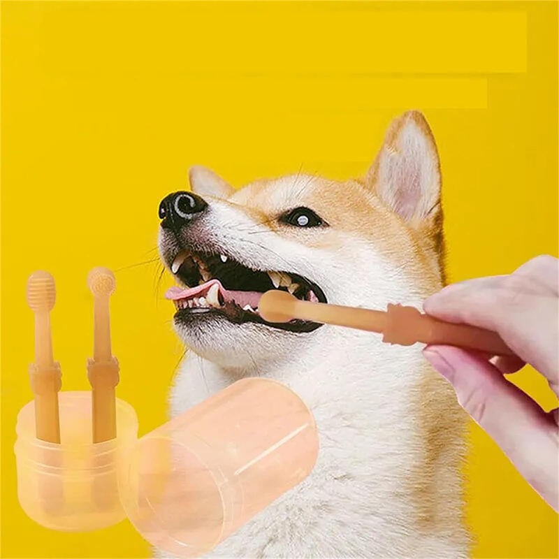 치아 미백 개 고양이 실리콘 소프트 칫솔 구강 관리 강 - Teeth Whitening Toothbrush 리뷰 및 가격