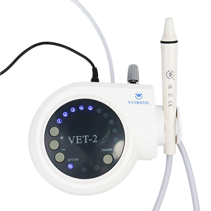 애완동물 치과용 초음파 스케일러, 강아지 전문 구강 스 - Teeth Whitening Tips 리뷰 및 가격
